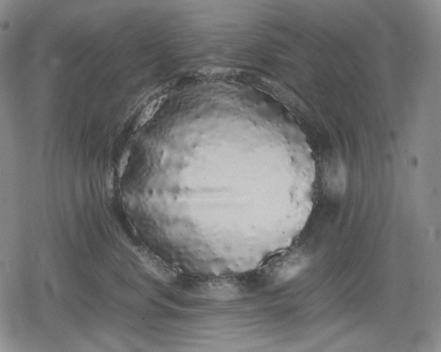 X0000080160668200612221227