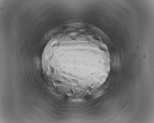 X0000080160669200612221227