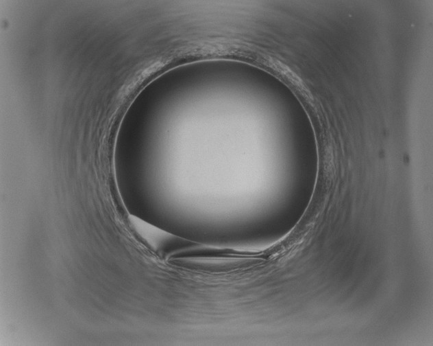X0000080160673200612221226