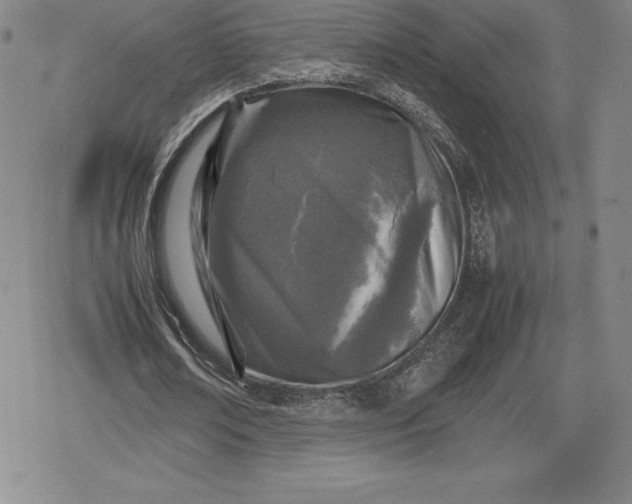 X0000080160674200612221226