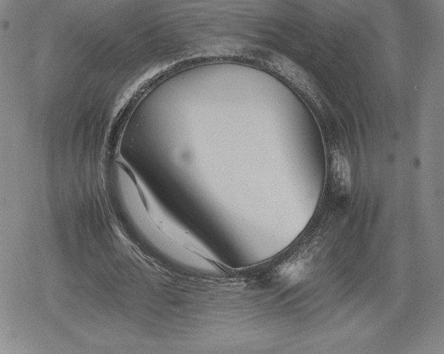 X0000080160676200612221226