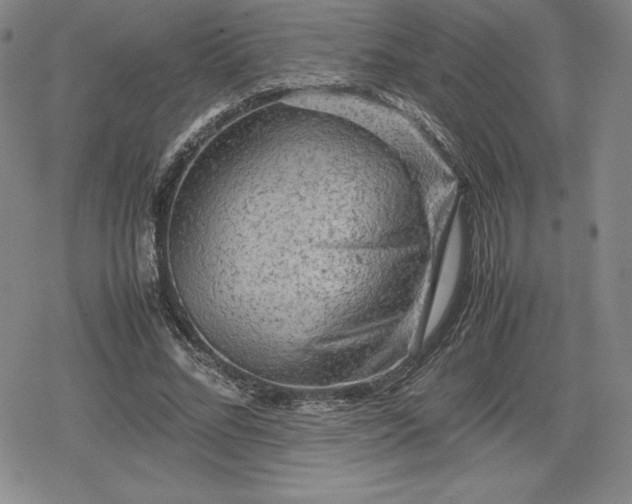 X0000080160684200612221226