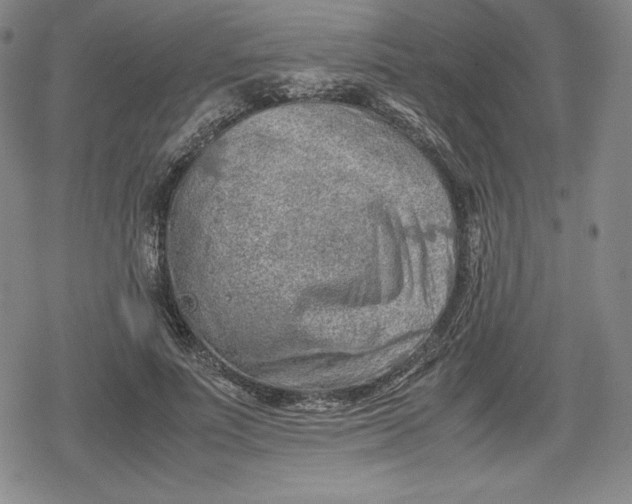 X0000080160691200612221226
