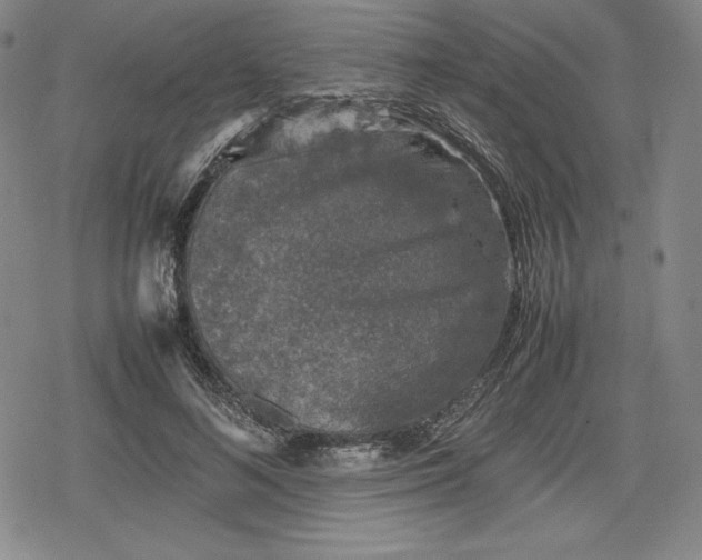 X0000080160692200612221226