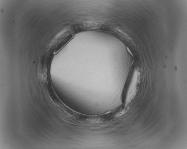 X0000080160693200612221226