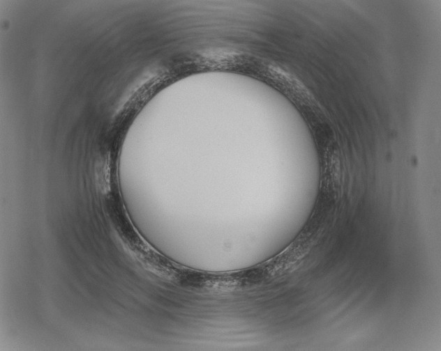 X0000080160694200612221226