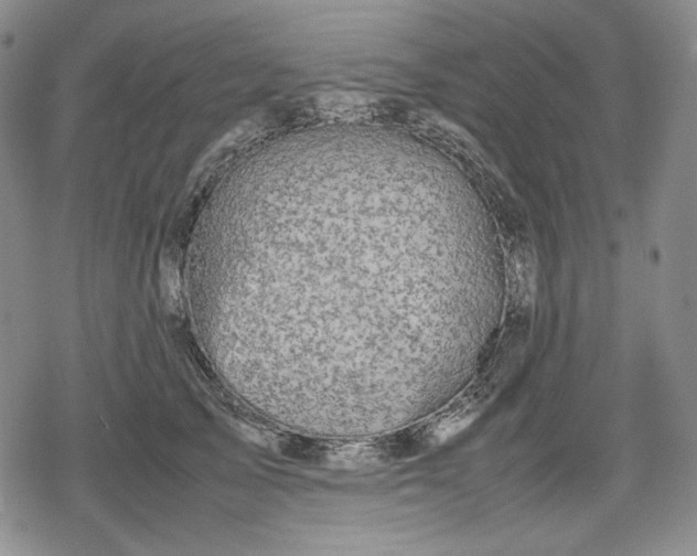 X0000080160705200612221226
