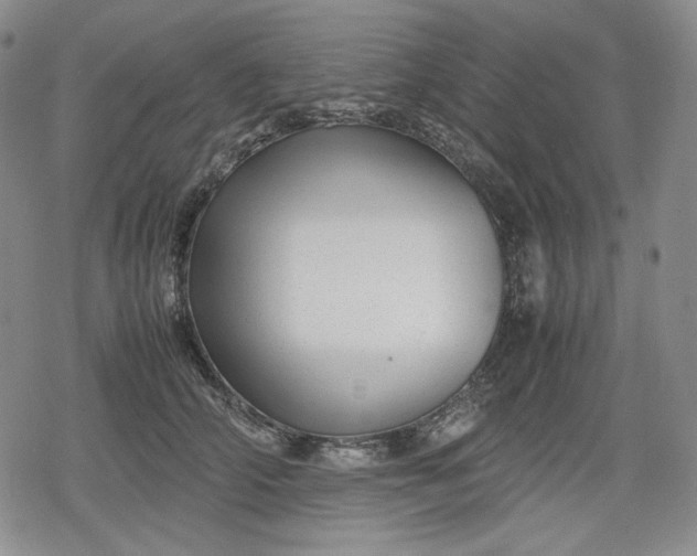 X0000080160706200612221226