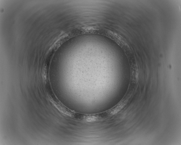 X0000080160710200612221226