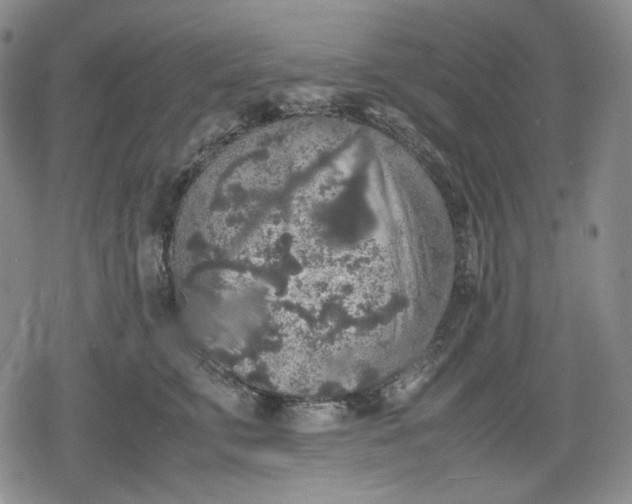 X0000080160711200612221226