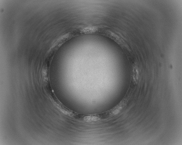 X0000080160714200612221226