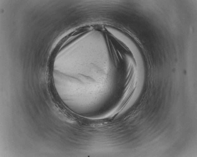 X0000080160724200612221225