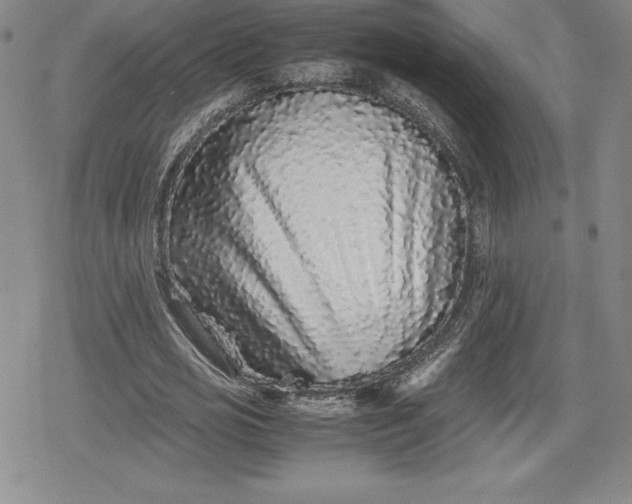 X0000080160725200612221225