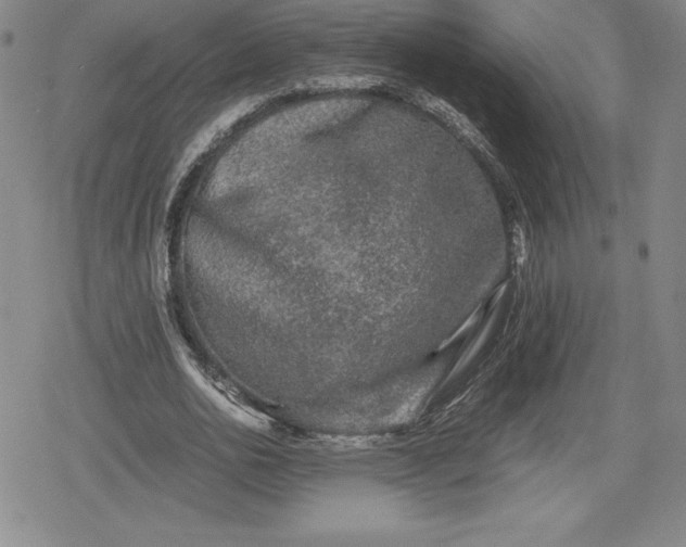 X0000080160726200612221225