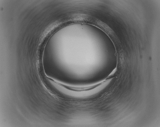 X0000080160728200612221225