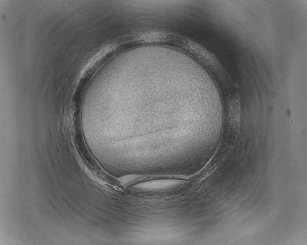 X0000080160730200612221225