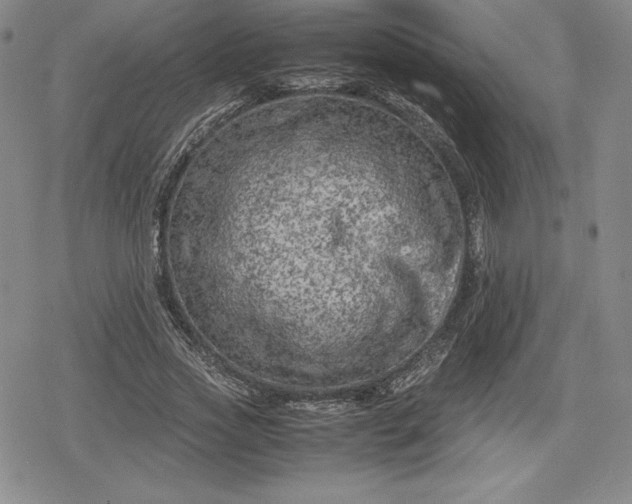 X0000080160733200612221225