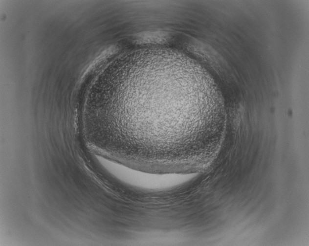 X0000080160735200612221225