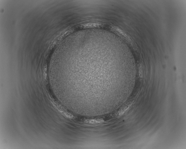 X0000080160737200612221225