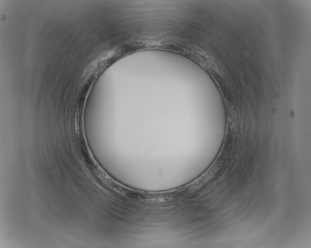 X0000080160740200612221225
