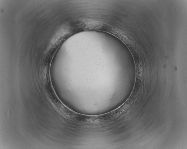X0000080160742200612221225