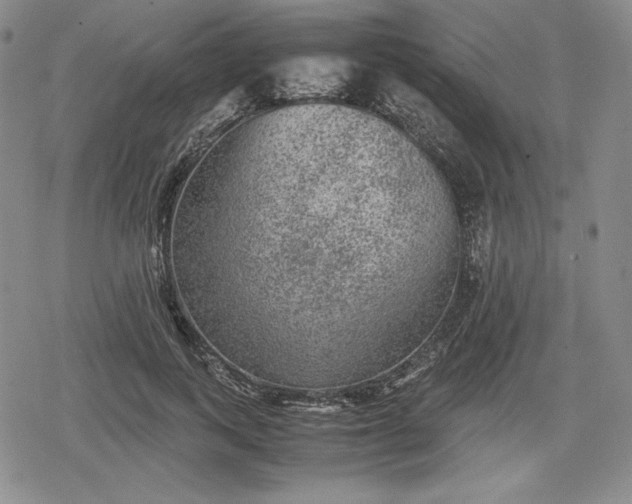 X0000080160743200612221225