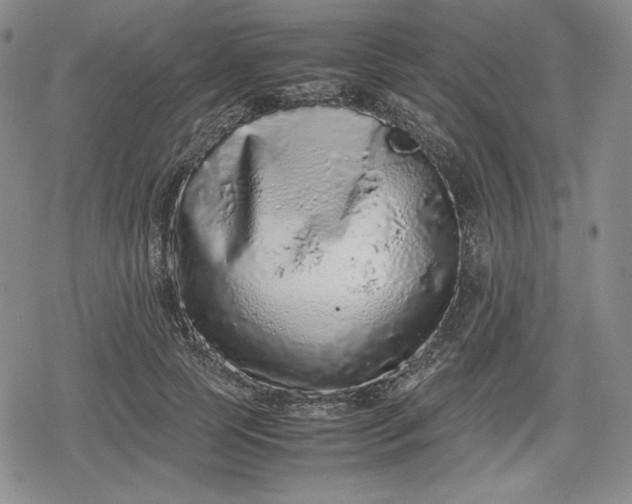 X0000080160745200612221225