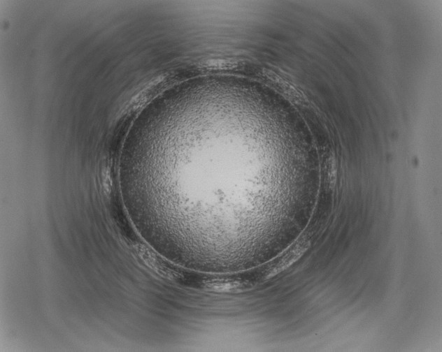 X0000080160746200612221225