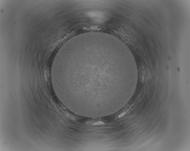 X0000080160747200612221225