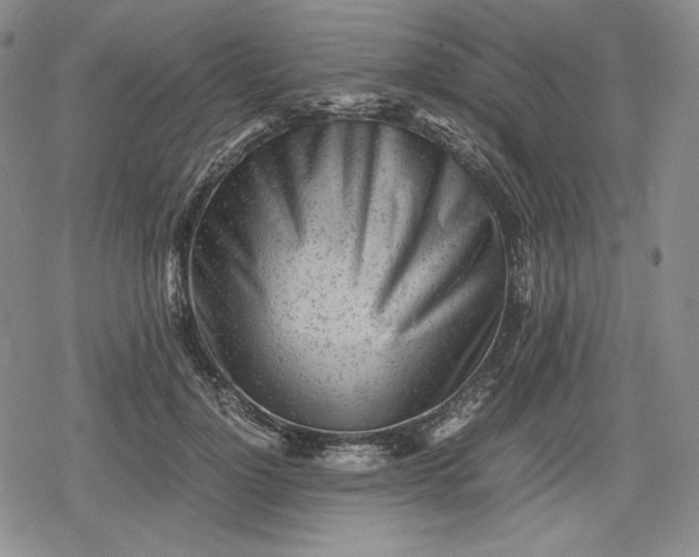 X0000080160748200612221225