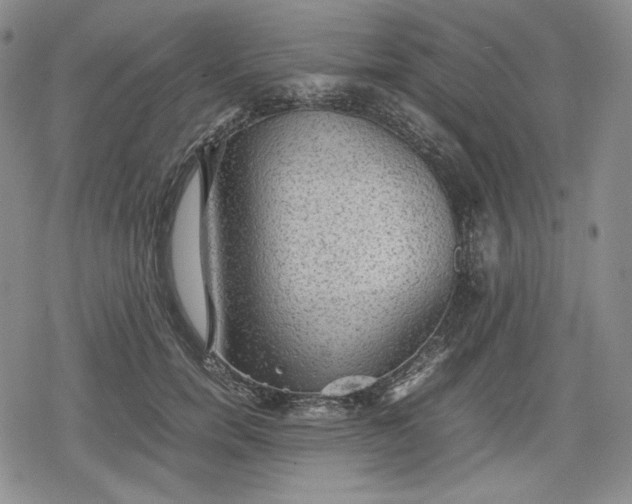 X0000080160750200612221225