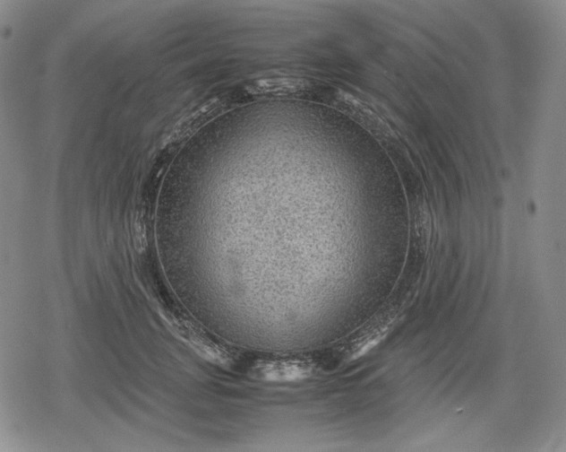 X0000080160751200612221225