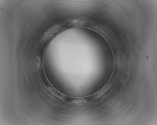 X0000080160752200612221225