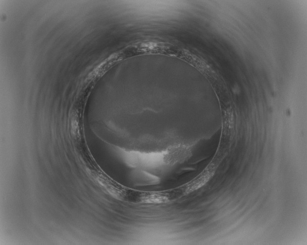 X0000080160754200612221225