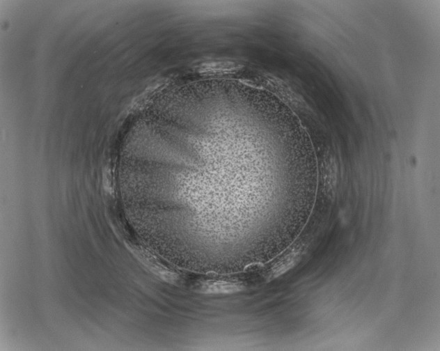 X0000080160755200612221225