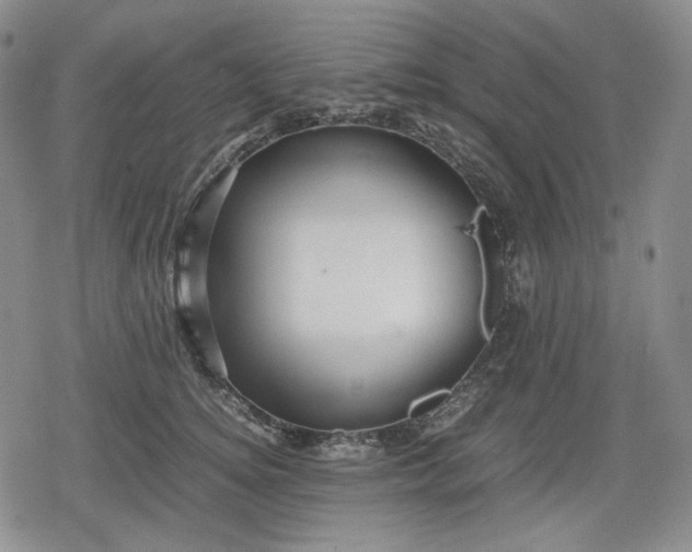 X0000080160756200612221226