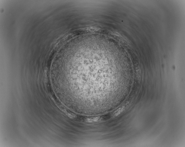 X0000080160757200612221226