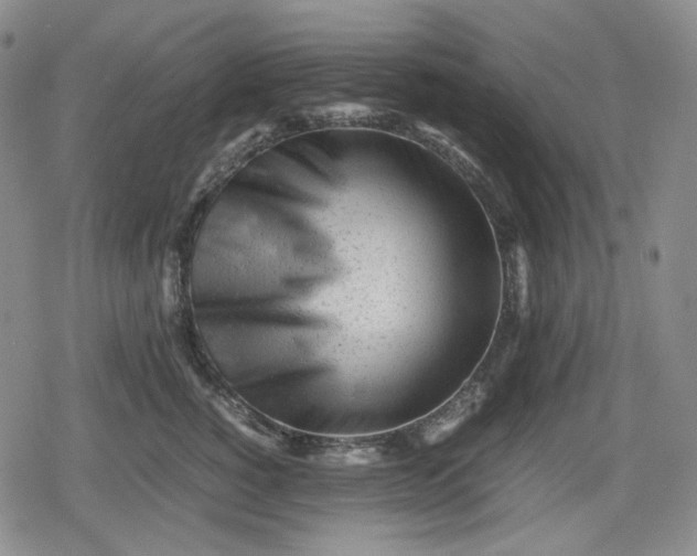 X0000080160760200612221226