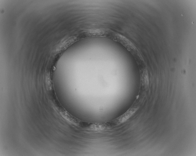 X0000080160764200612221226