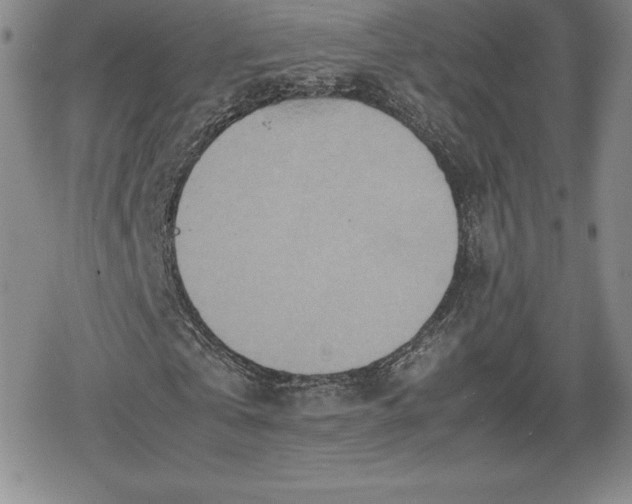 X0000080160769200612221225