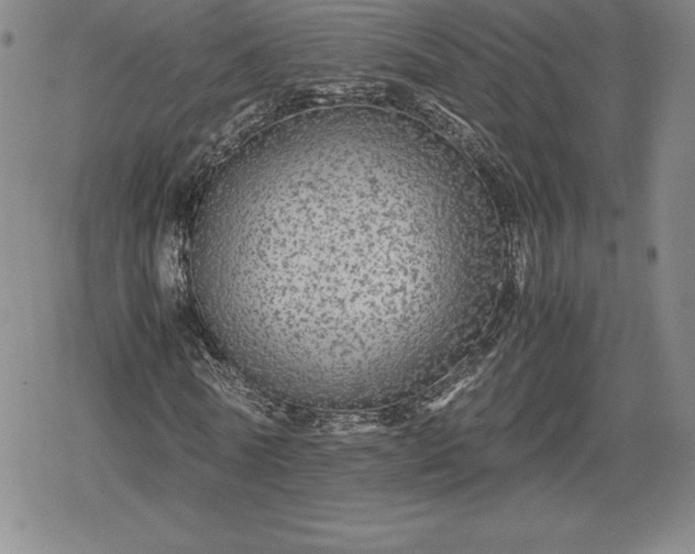 X0000080160770200612221225