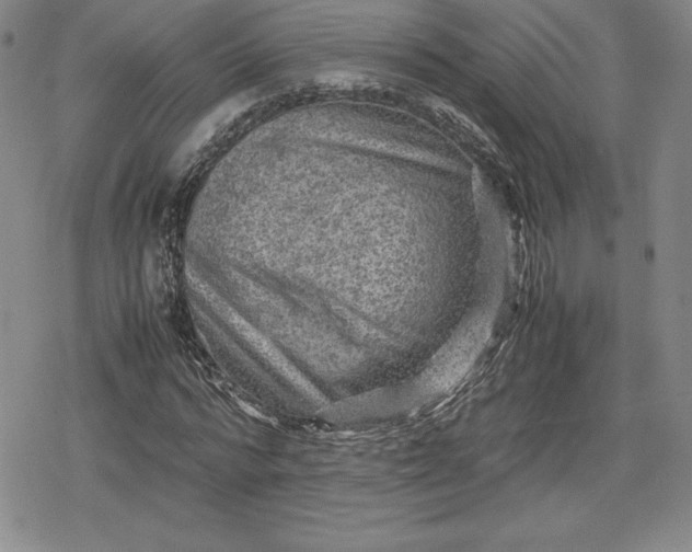 X0000080160776200612221225