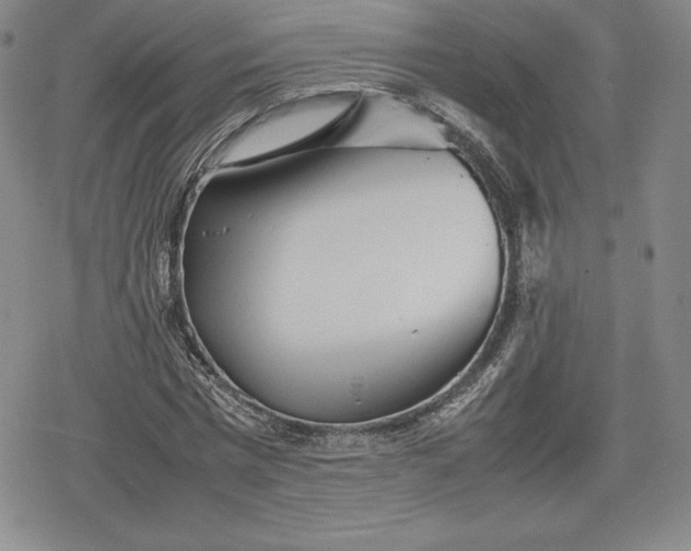 X0000080160777200612221225