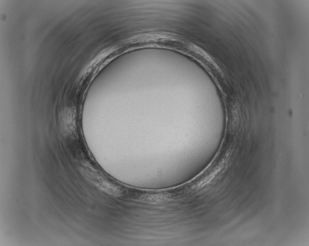 X0000080160778200612221225