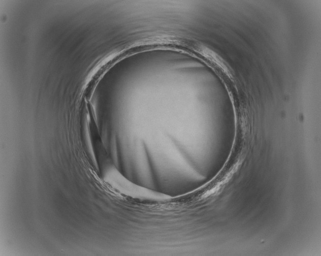 X0000080160781200612221225