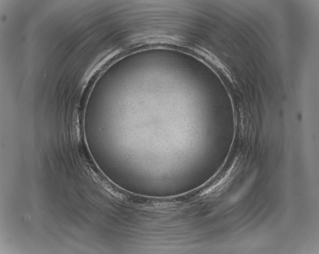 X0000080160782200612221225