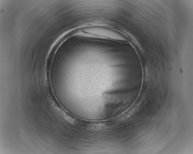 X0000080160784200612221225