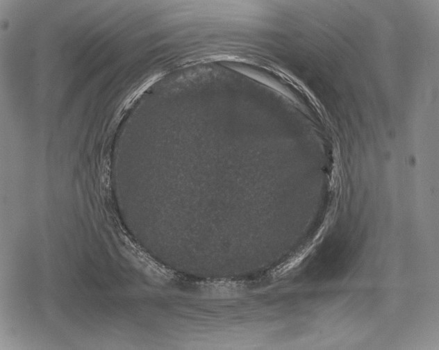 X0000080160785200612221225