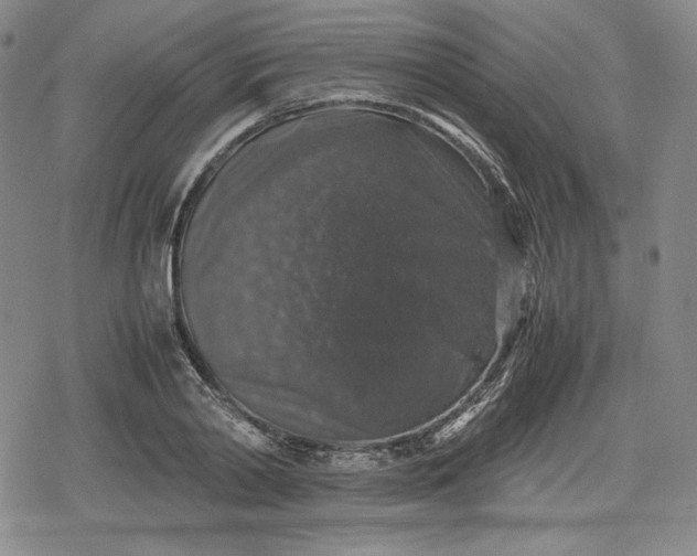 X0000080160790200612221225