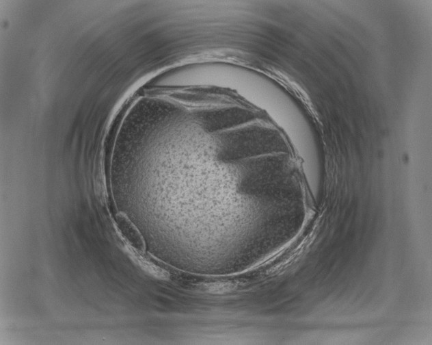X0000080160792200612221225